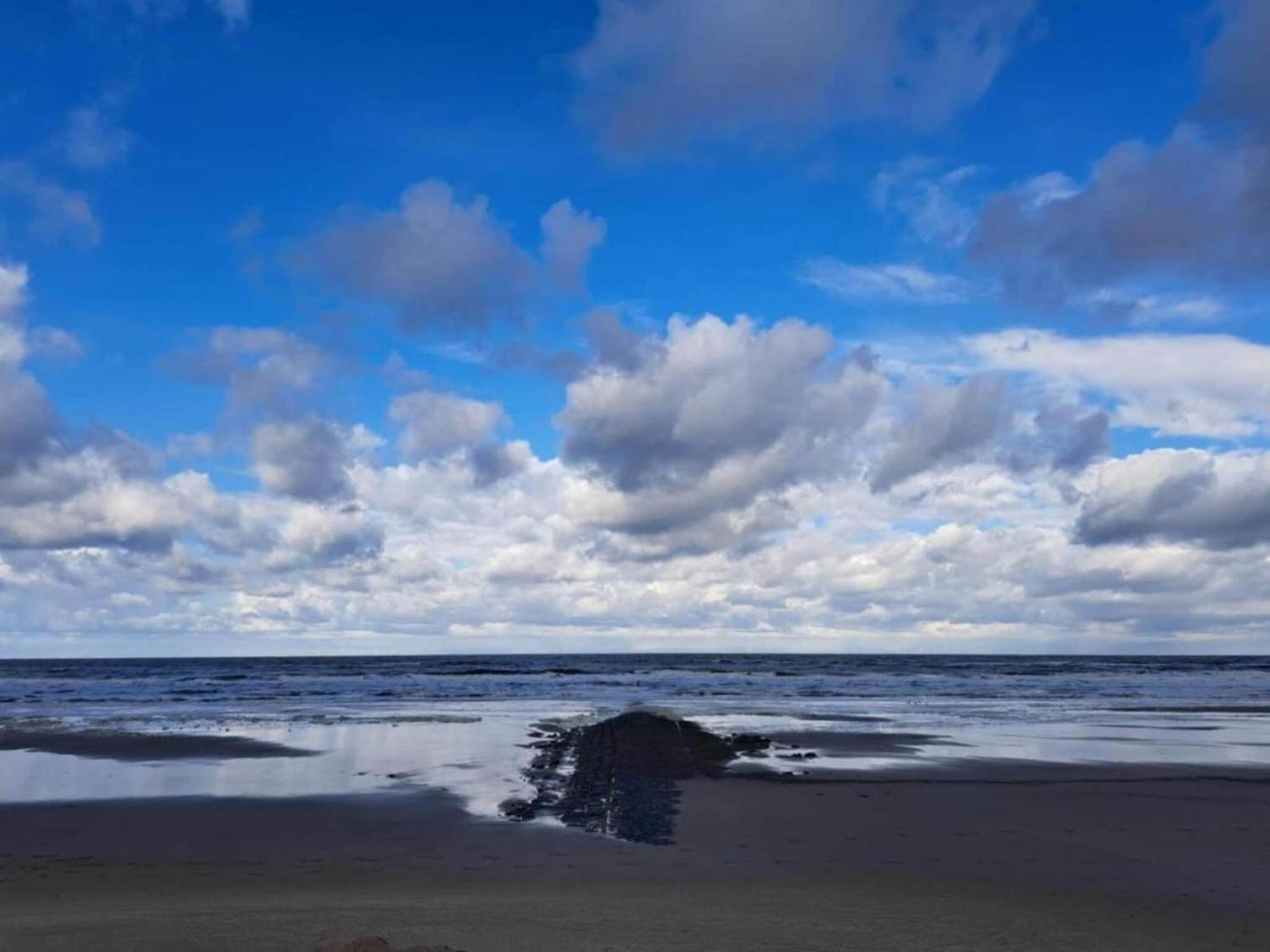 Studio Hazenborgh In Callantsoog Near The Beach Exterior photo
