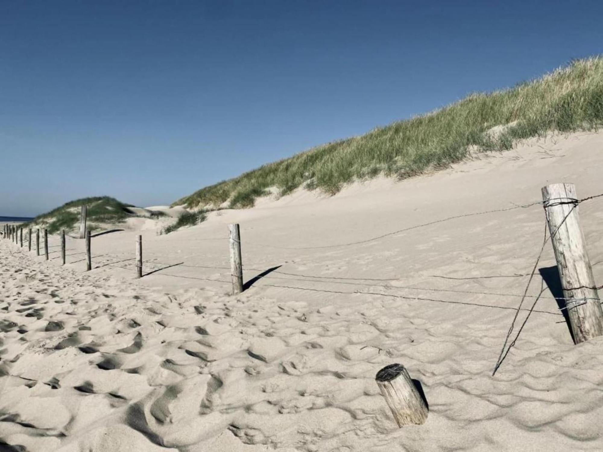 Studio Hazenborgh In Callantsoog Near The Beach Exterior photo