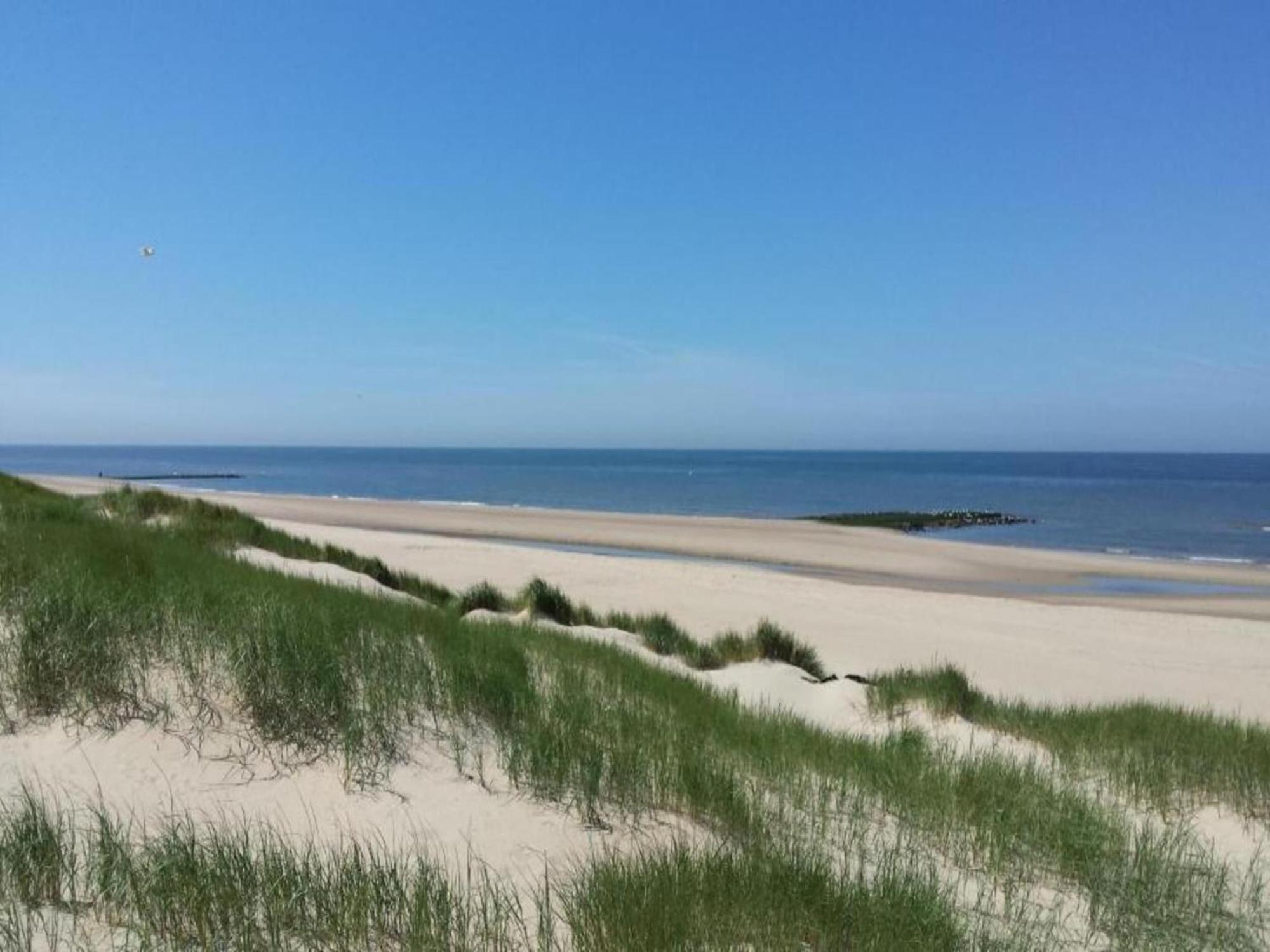 Studio Hazenborgh In Callantsoog Near The Beach Exterior photo
